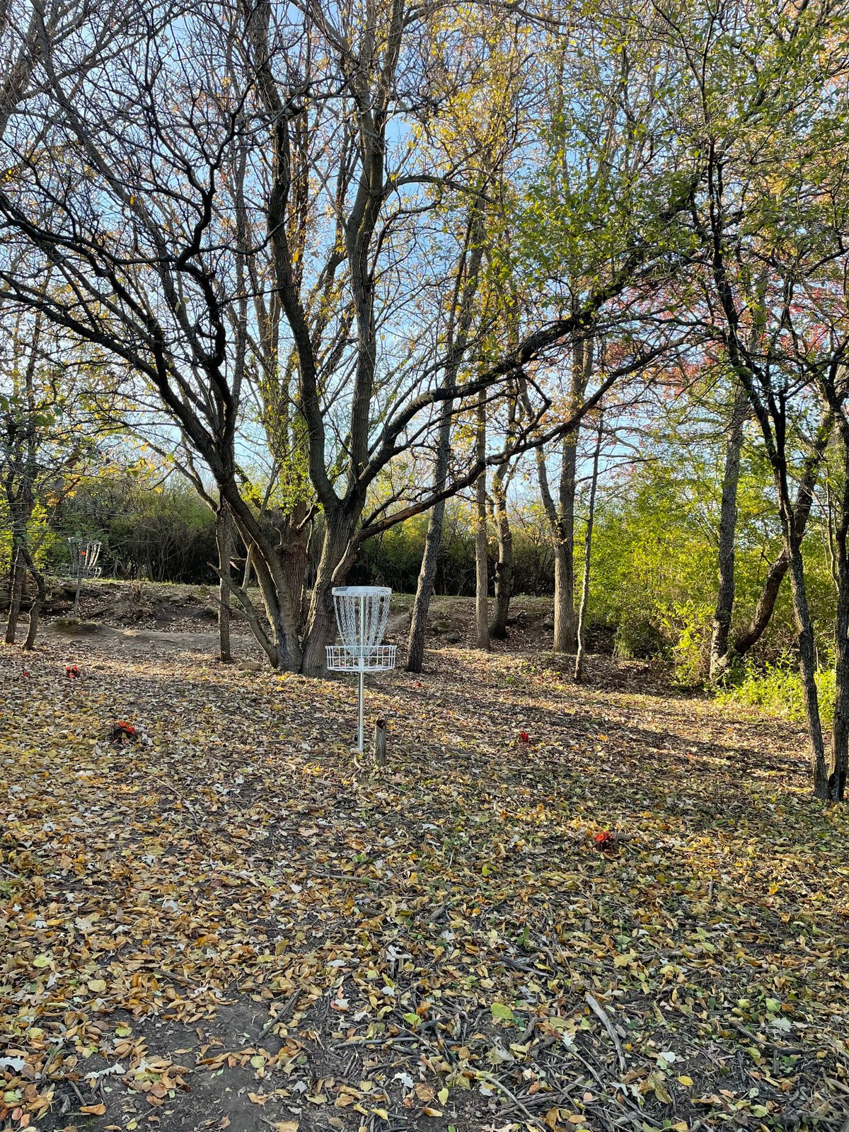 Hole 17 Reverse
