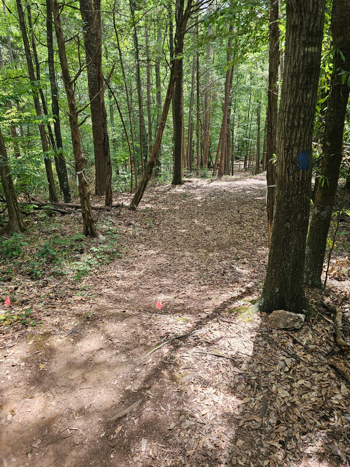 Hole 4
