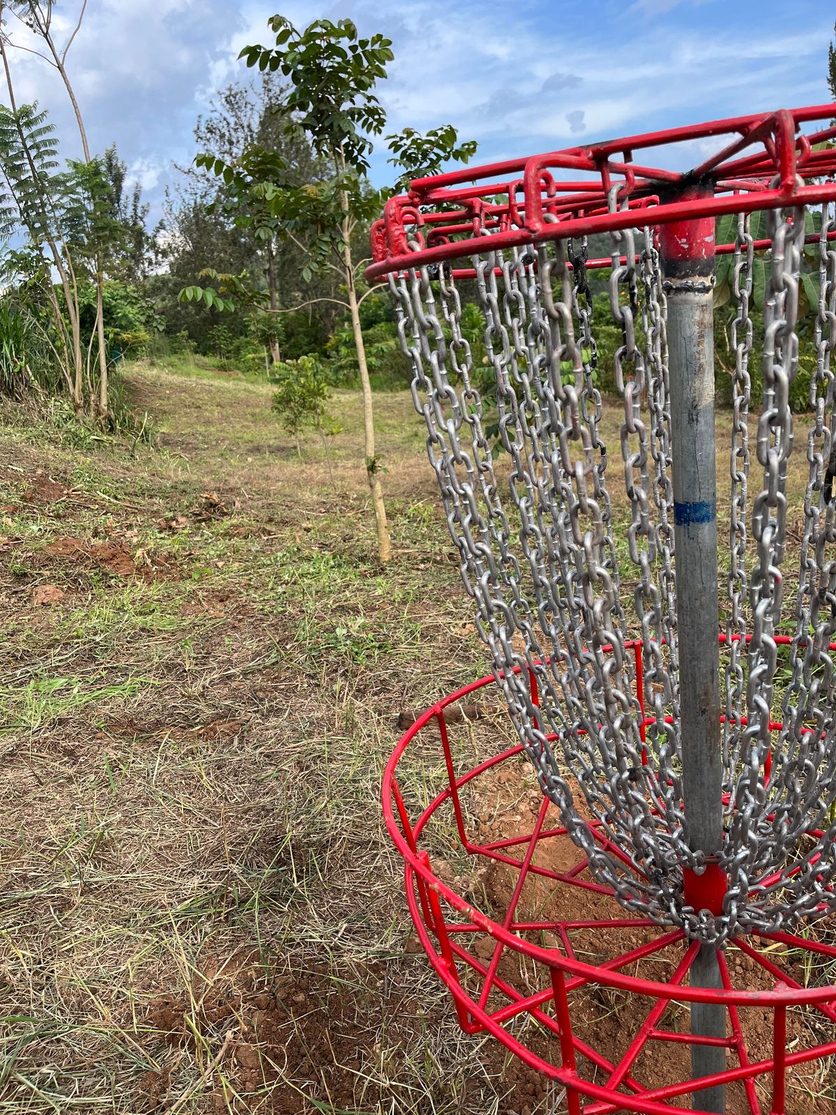 Hole 7 basket