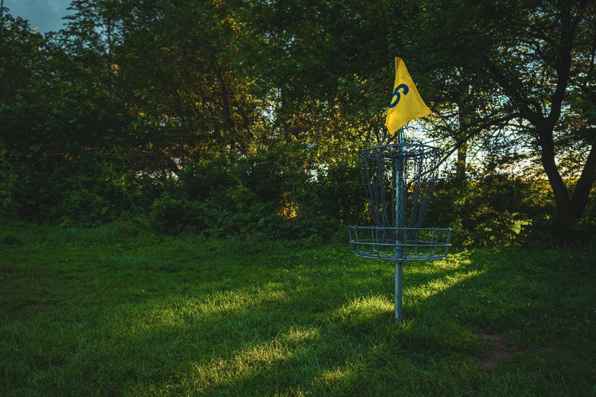Basket for Hole 6