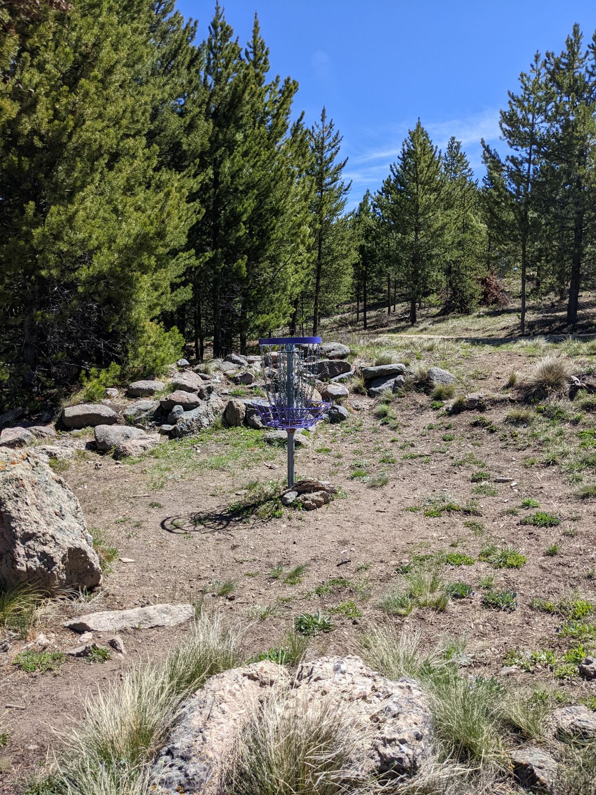 Hole 1 green 5/27/22