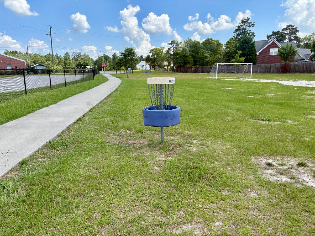 Hole 7 basket