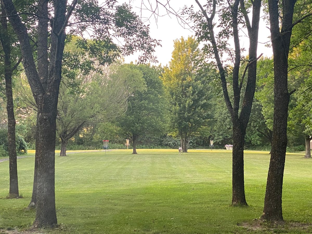 Hole #16 look from the trees to the basket