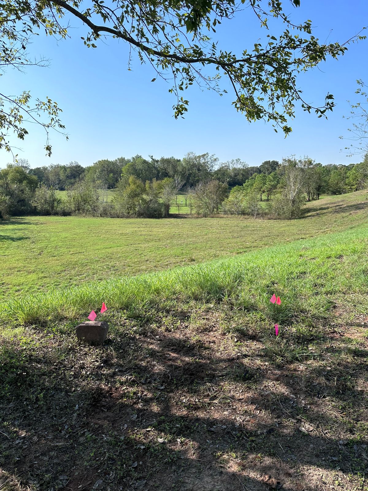 Hole 1 tee