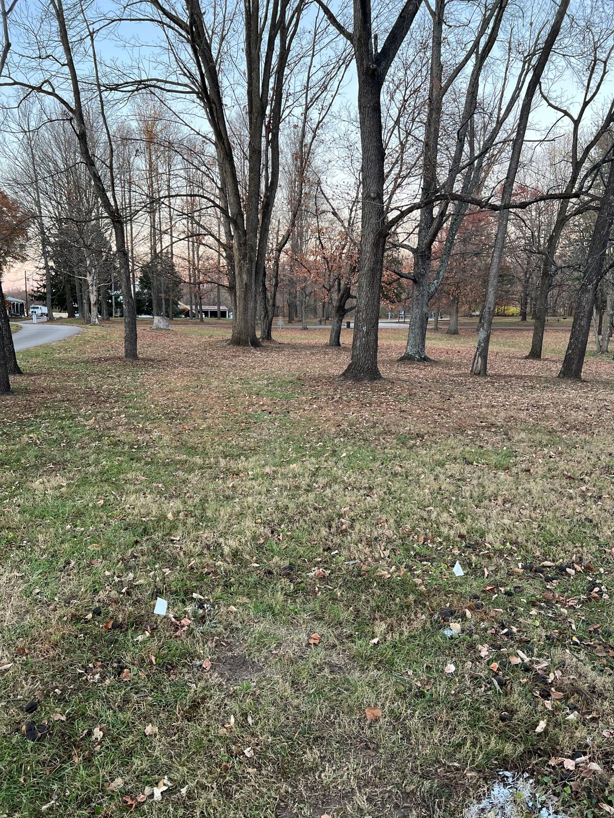 Hole #8