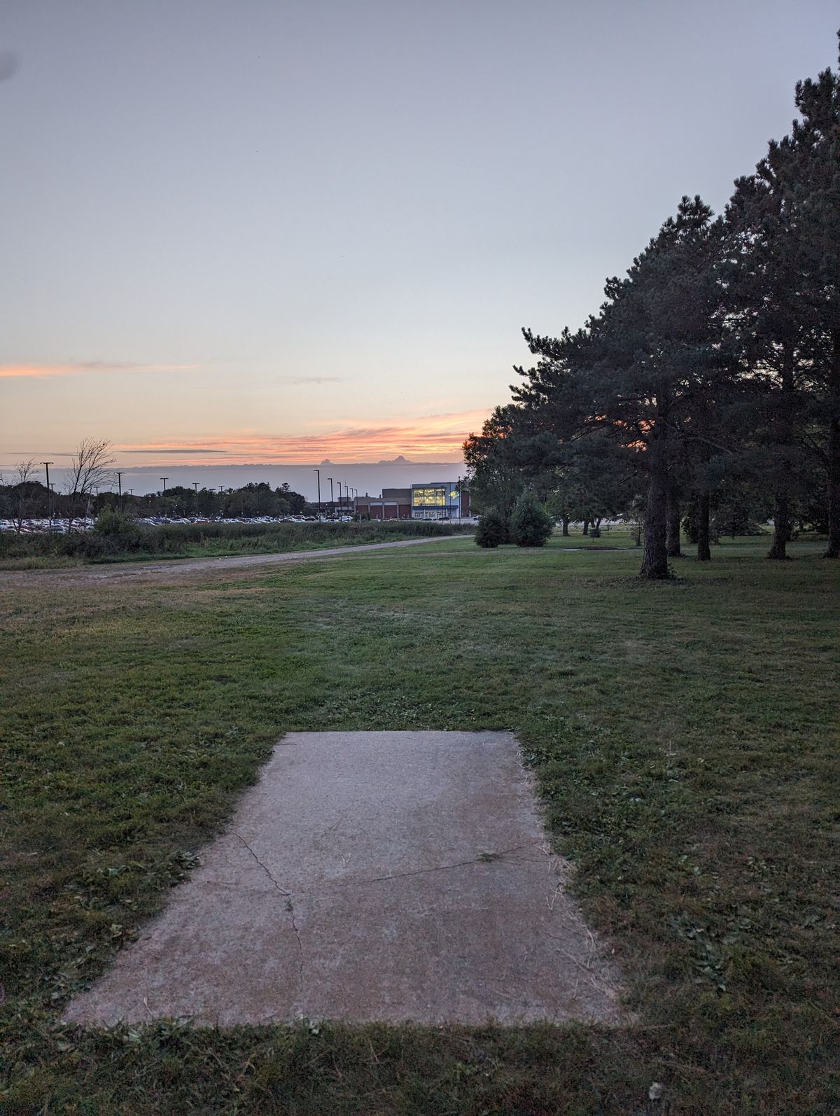 Tee 7