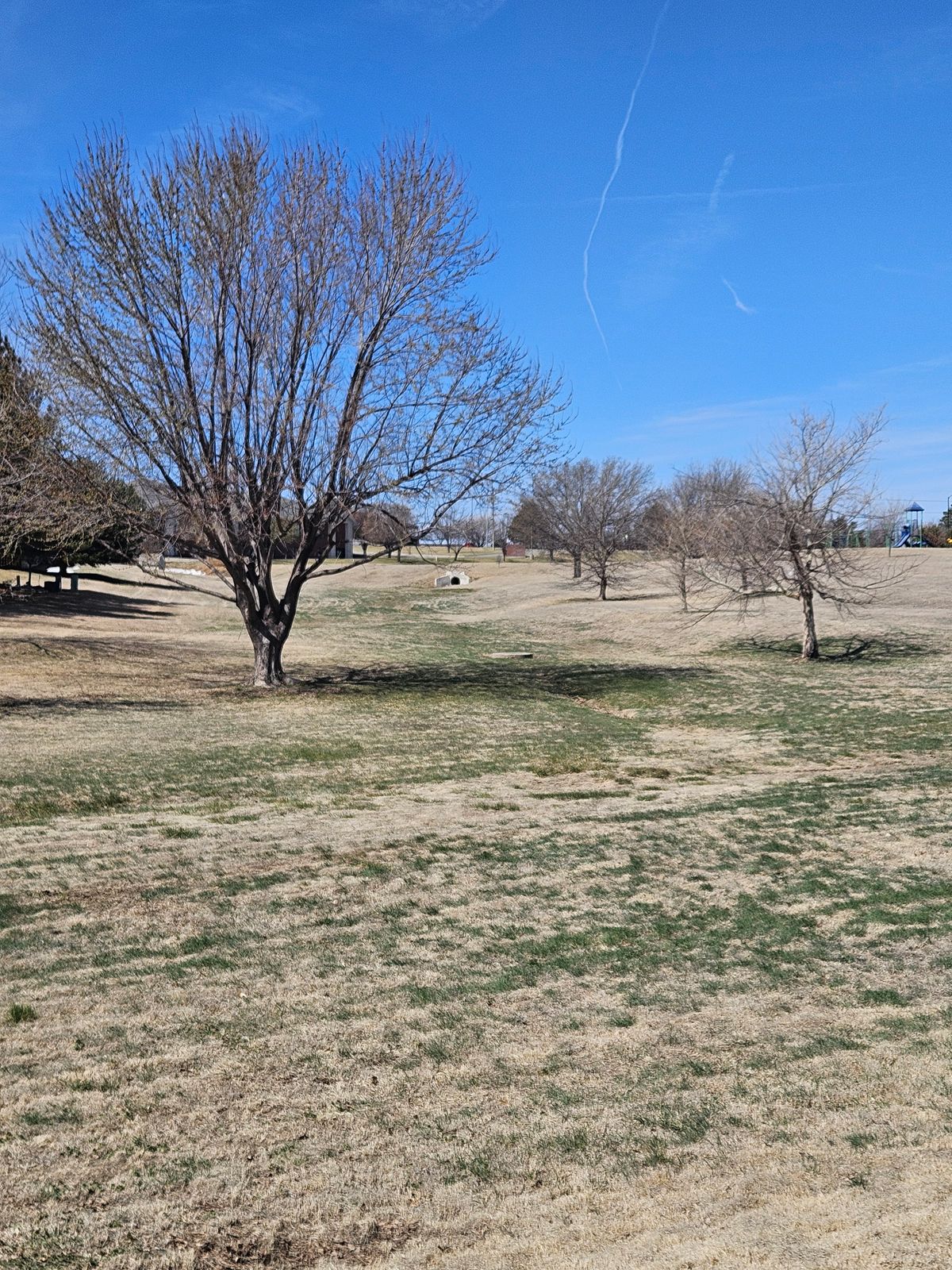 #4 fairway