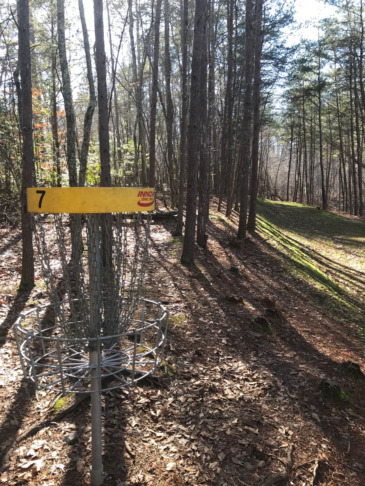 Hole 7, par3. Looking back down the fairway. Taken 1/12/2020.