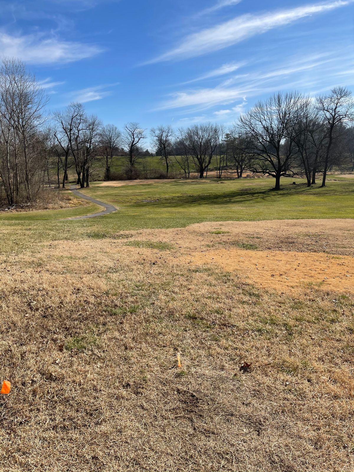 Hole 8s tee view