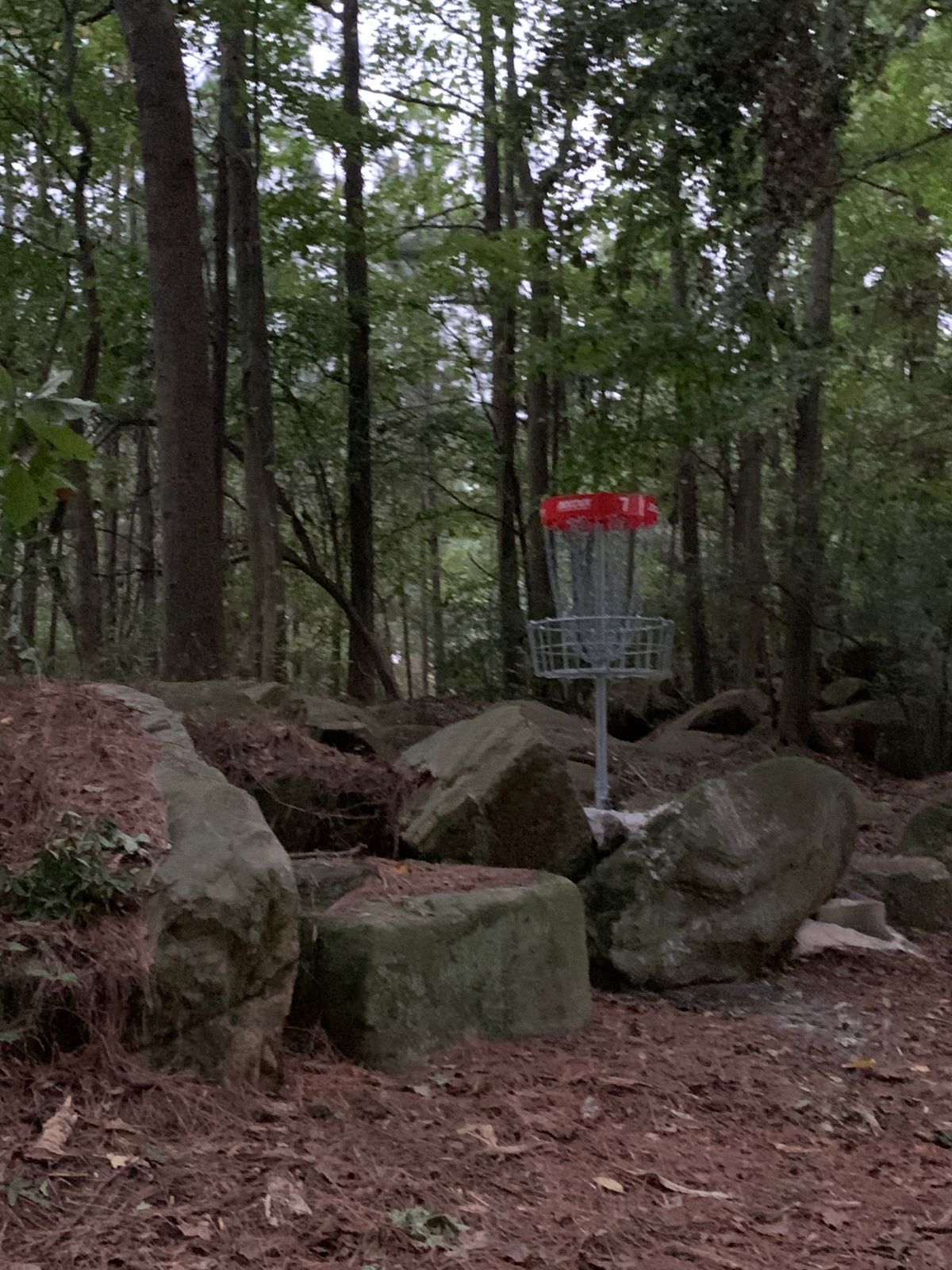 Hole 7 basket