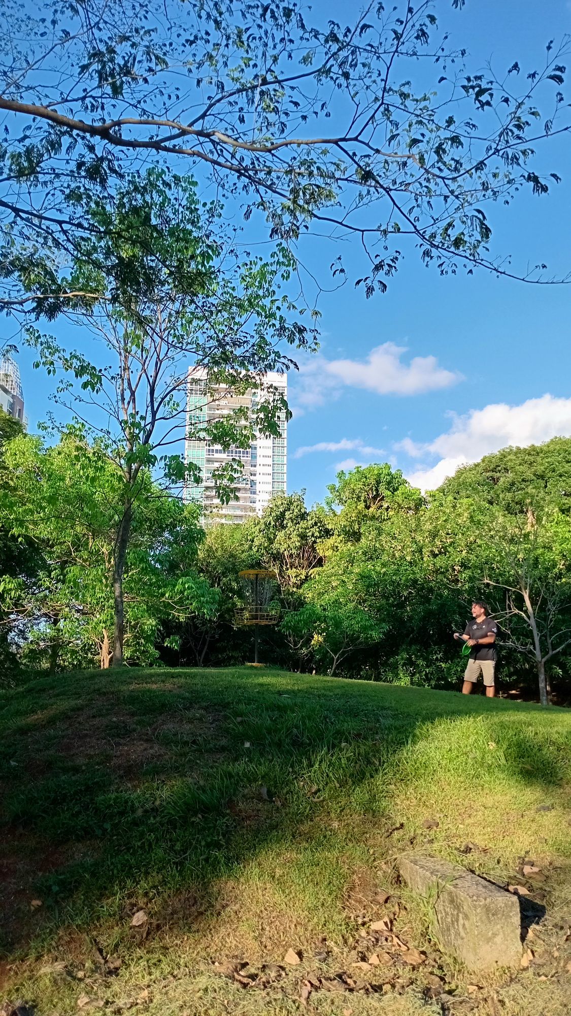 Parque Omar DG Course
Hole 4 Target