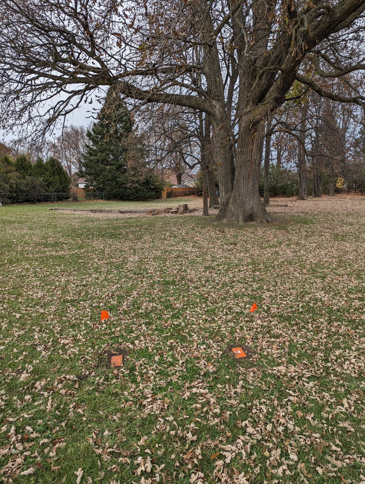 Tee6