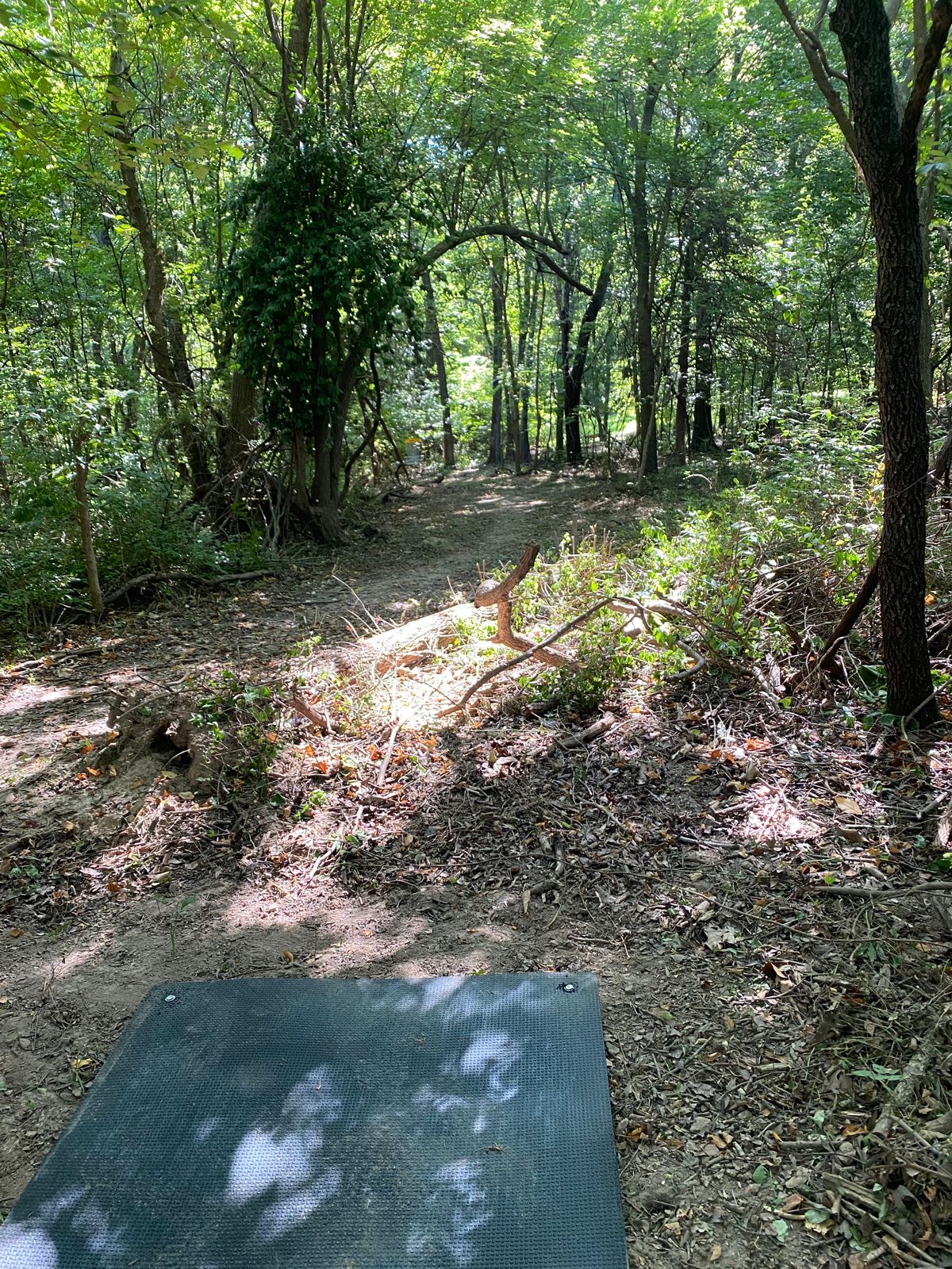 Hole 4