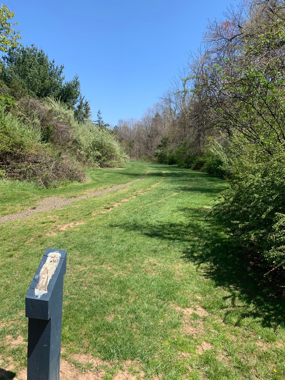 Hole 2 - Blue Tee