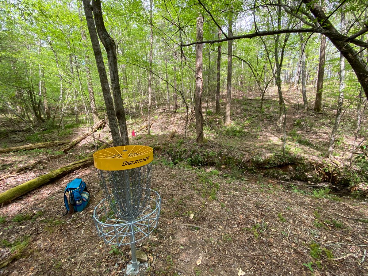Hole 11 green. Small creek before basket.