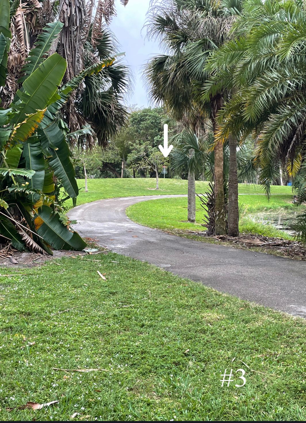 Hole 3, Short Tee
