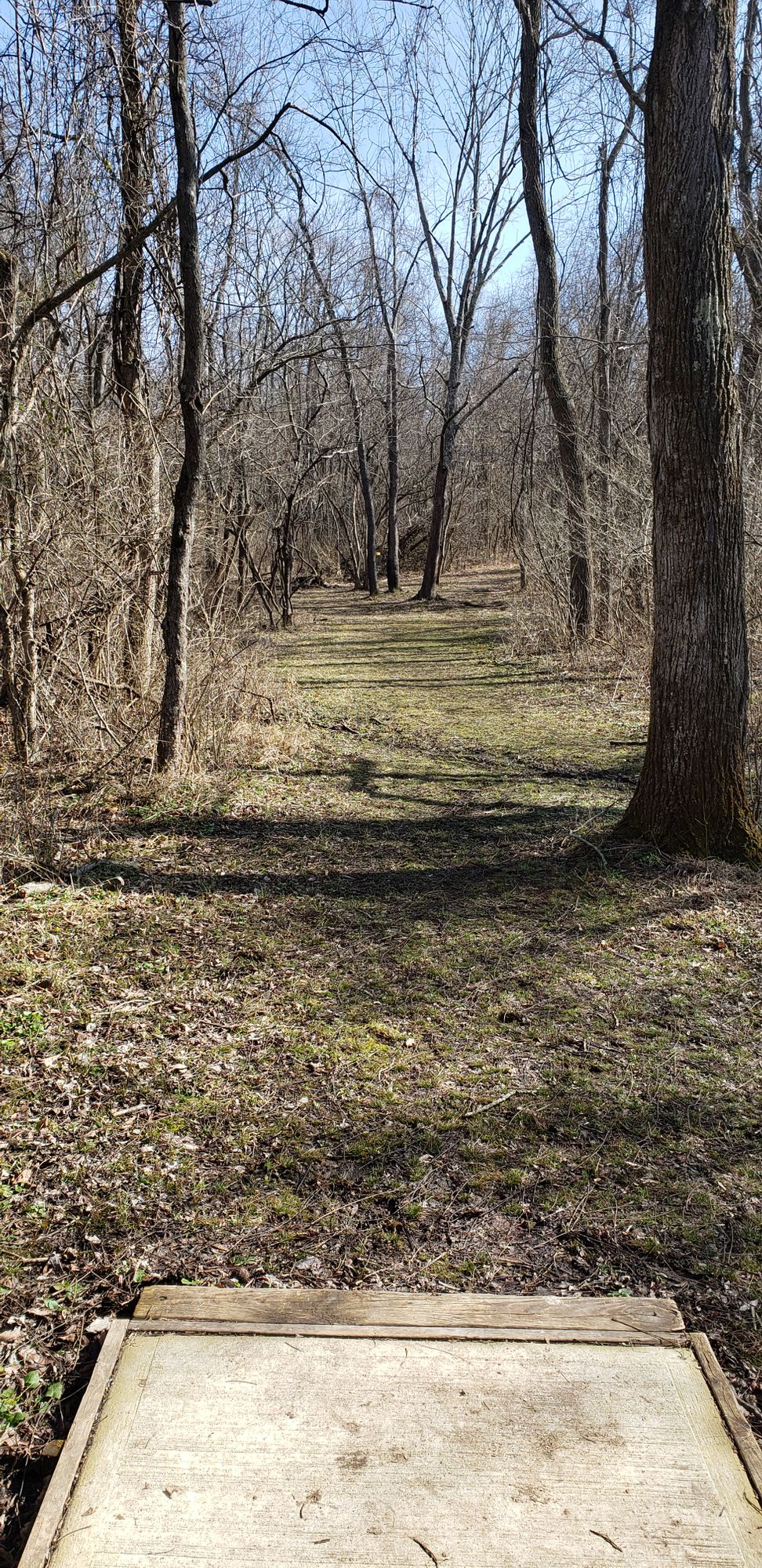 Hole 15
