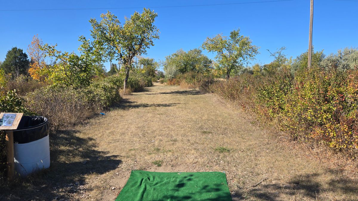 Hole 7