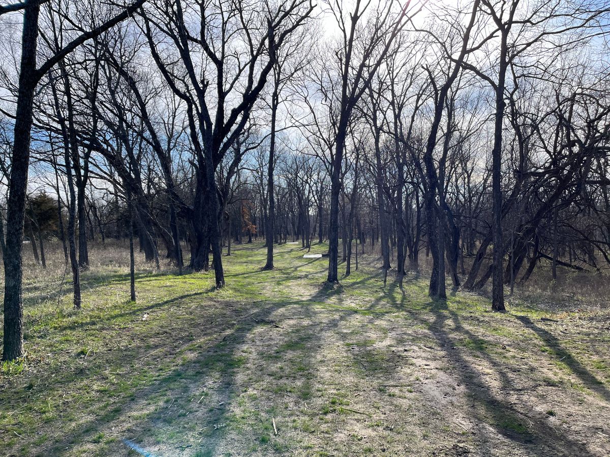 Hole 14 tee