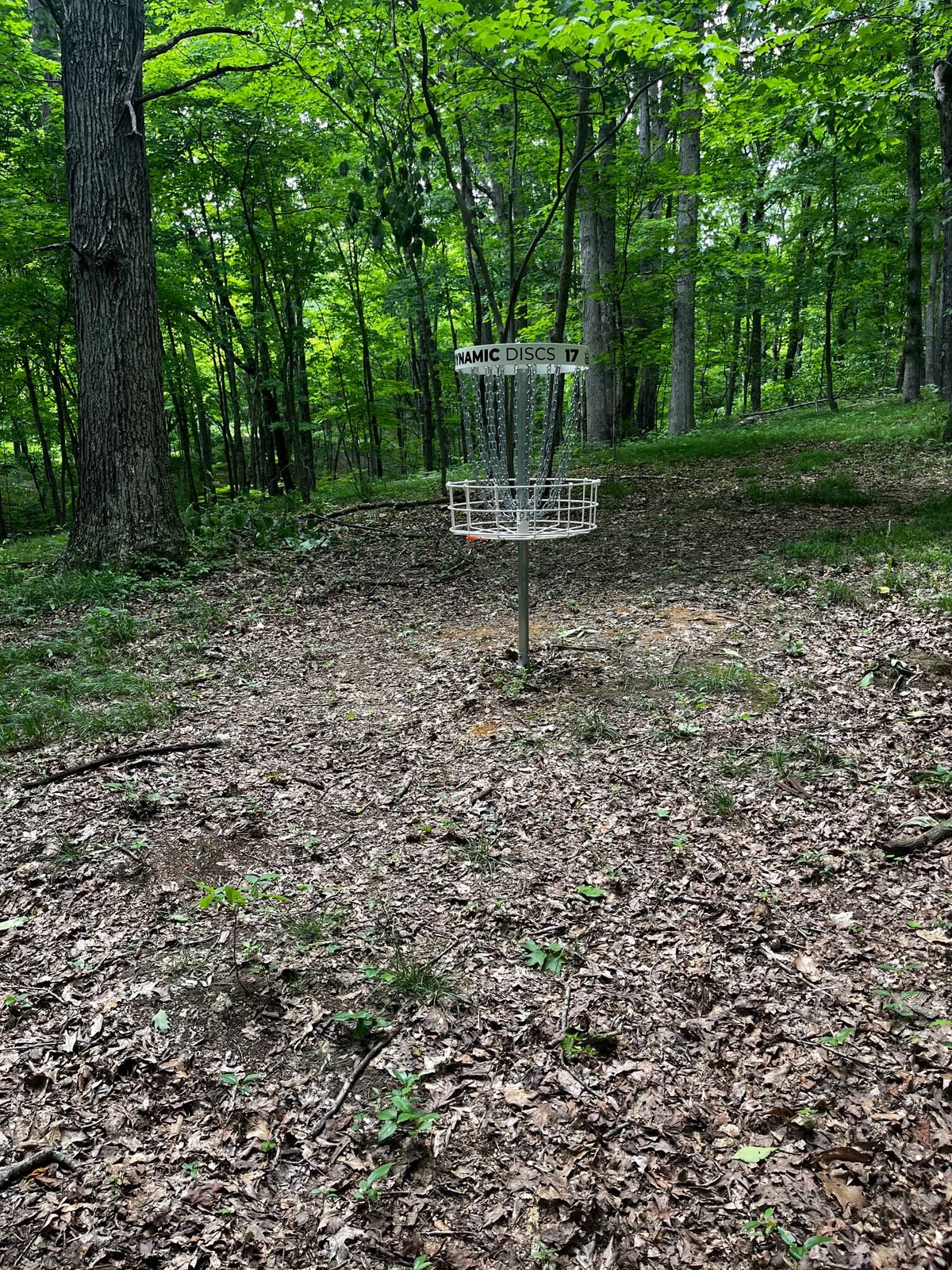 Hole 17 green