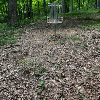 Hole 17 green