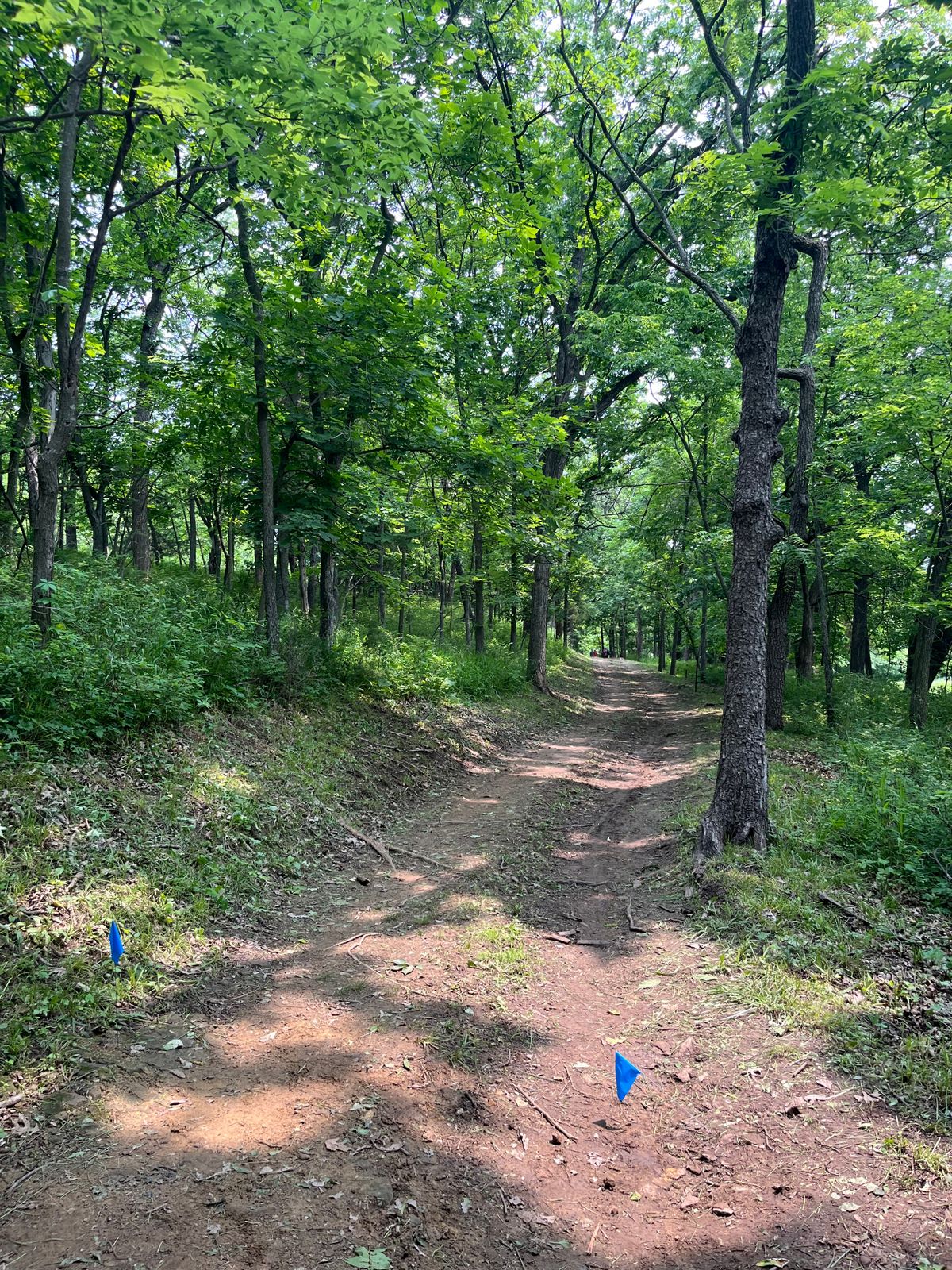 Hole 14