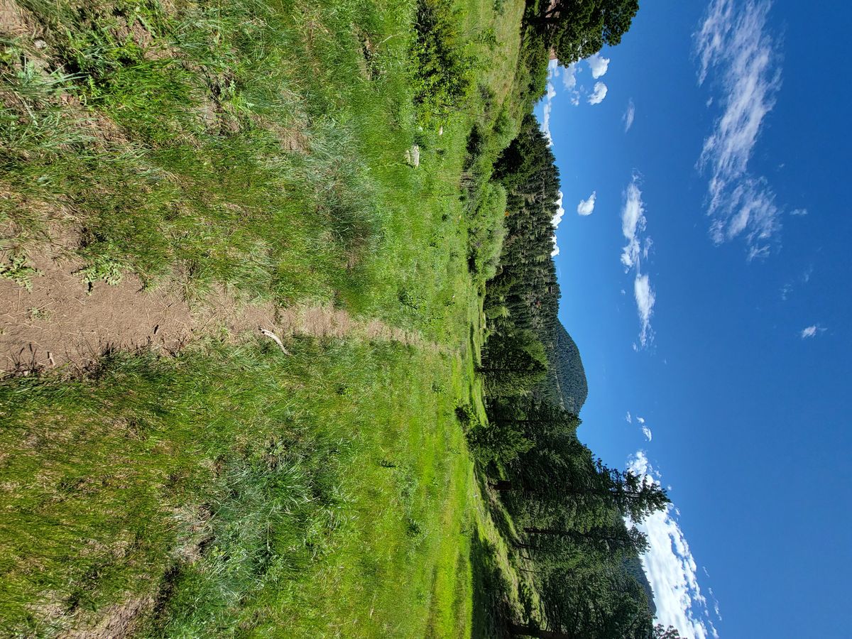 Hole 18