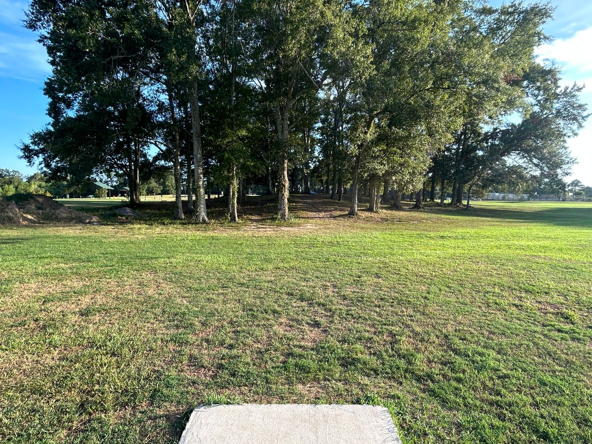 Hole 14 Fairway (Red)