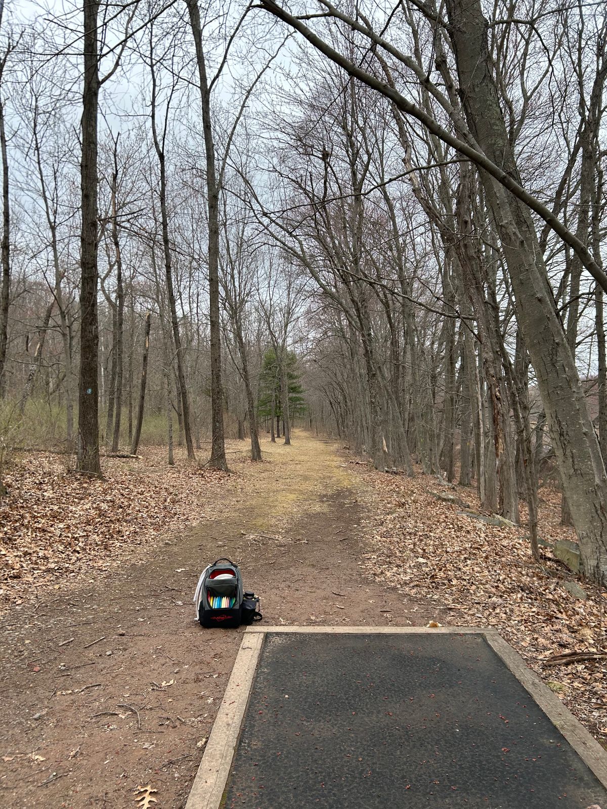 Hole 7 fairway