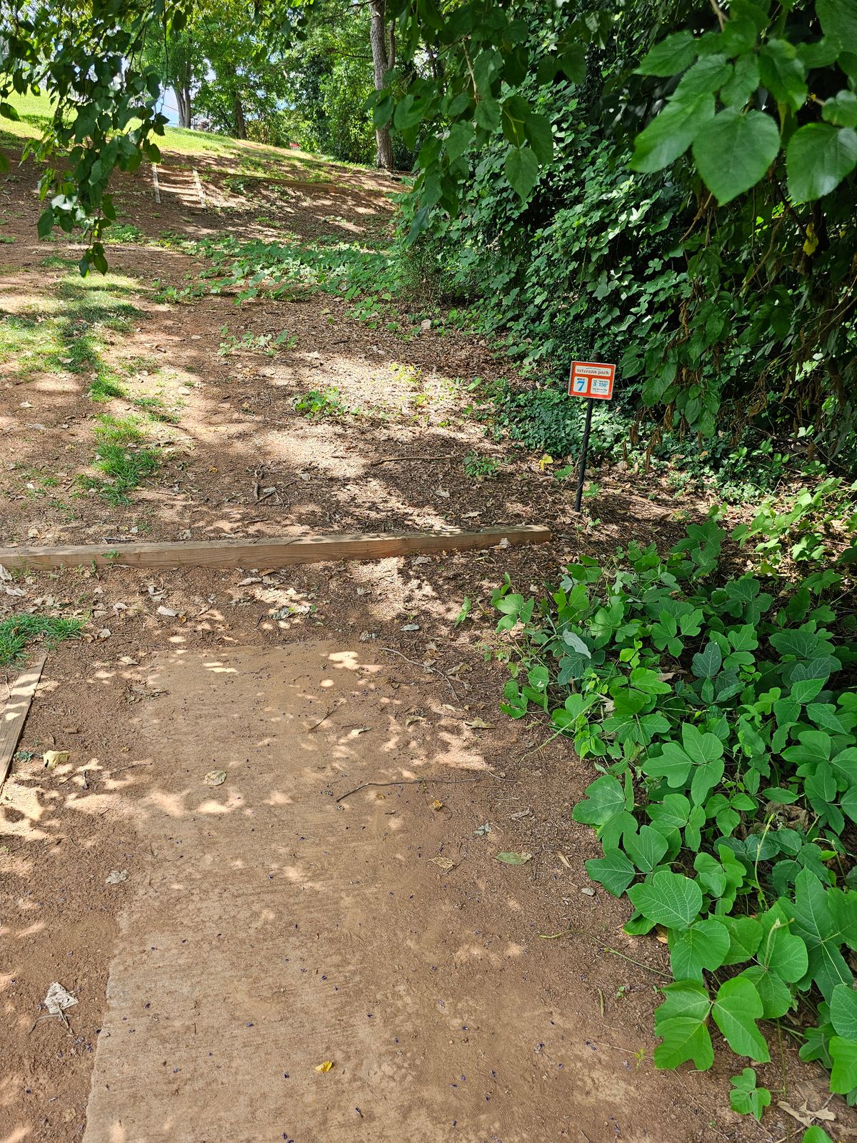 Hole 7