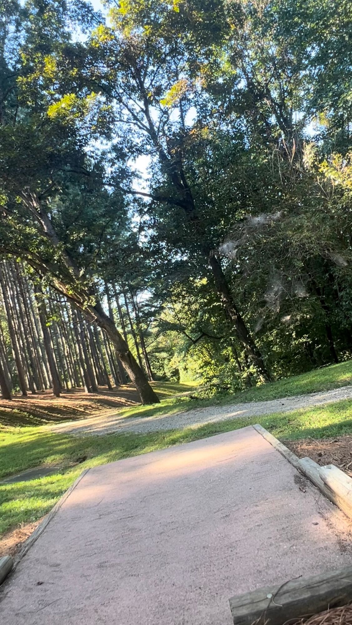 Hole 3's Gold Tee Pad & Fairway