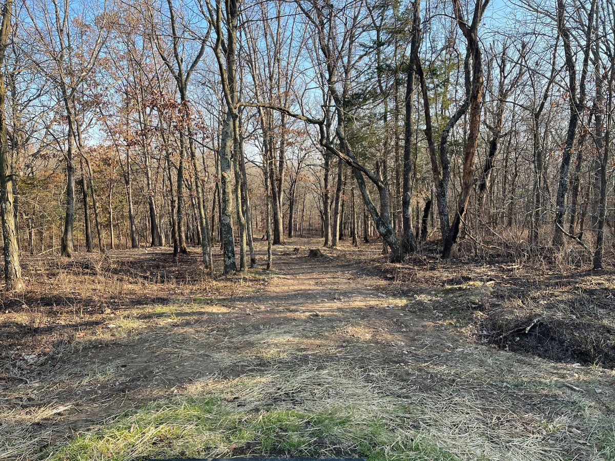 Hole 5 dogleg left and up hill at corner with down hill tee shirt trough narrow fairway