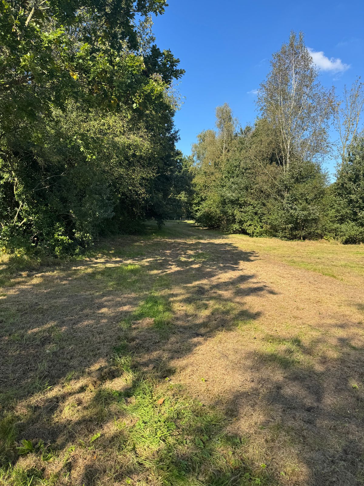 Hole 5 easy blue