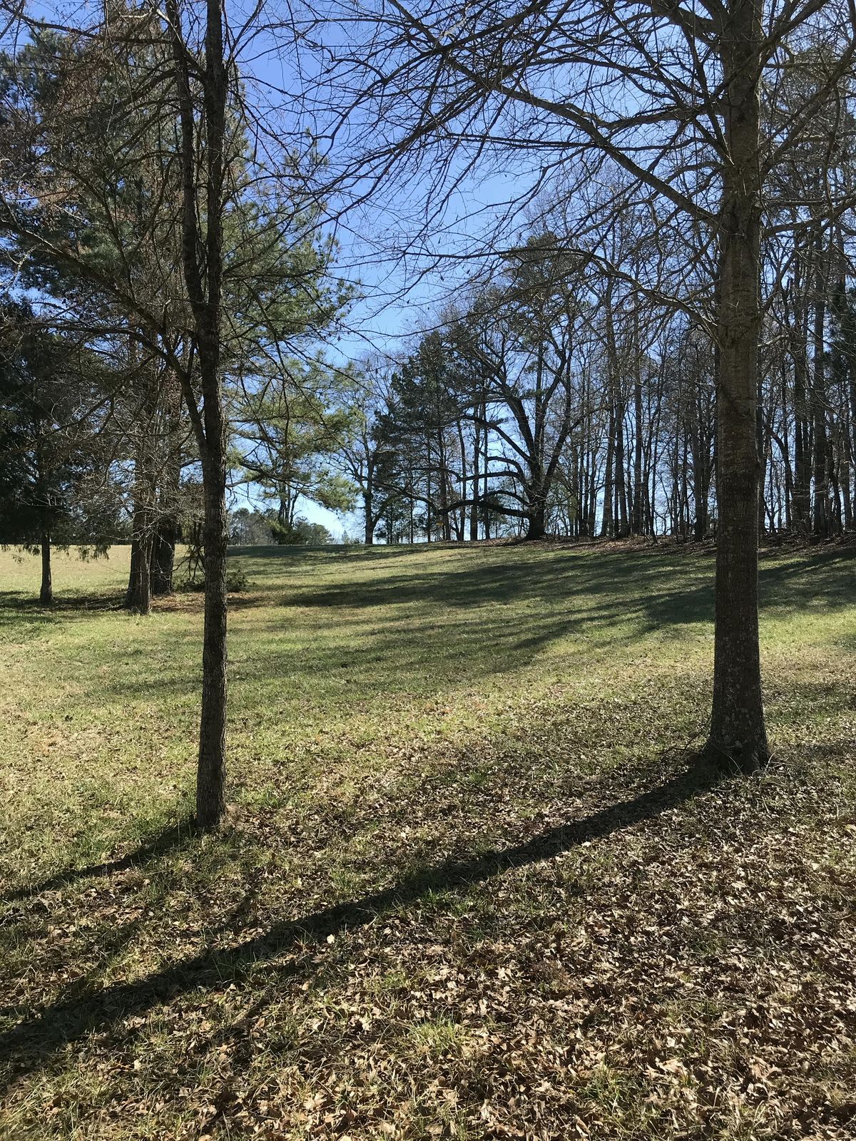 Hole 12 - tee to basket