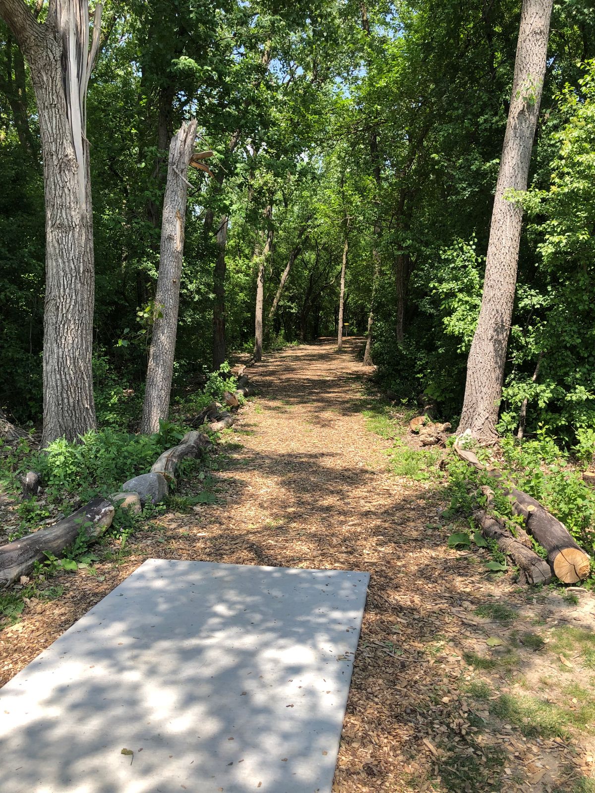Hole 1