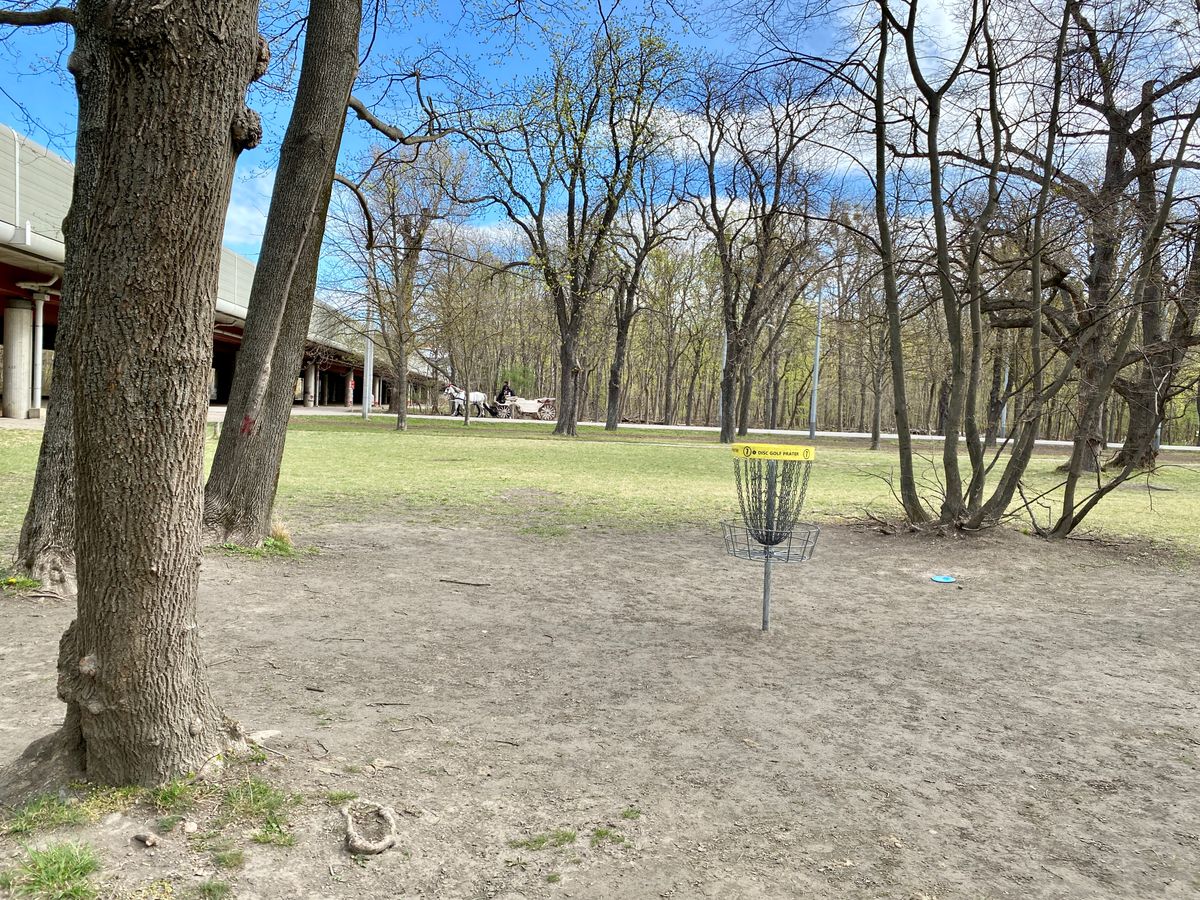 Interesting green on Hole 7. Horse drawn carriage in the background.