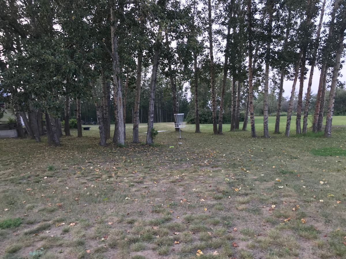 Hole 4 basket
