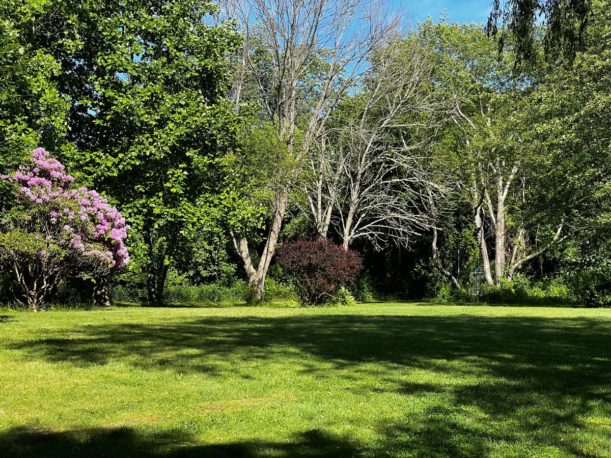 Hole 10