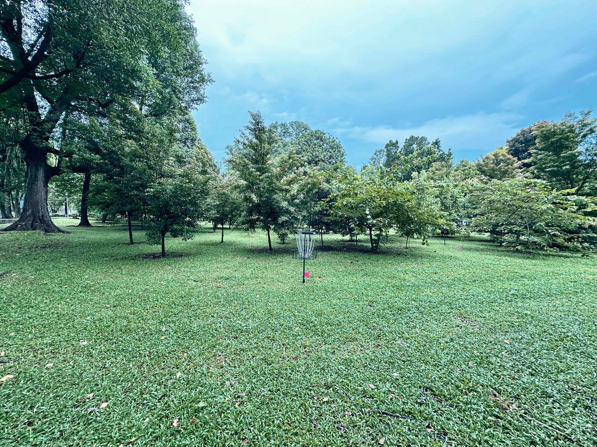 Hole 2 Basket
