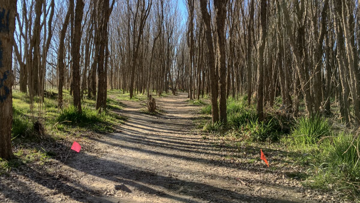 Hole 16