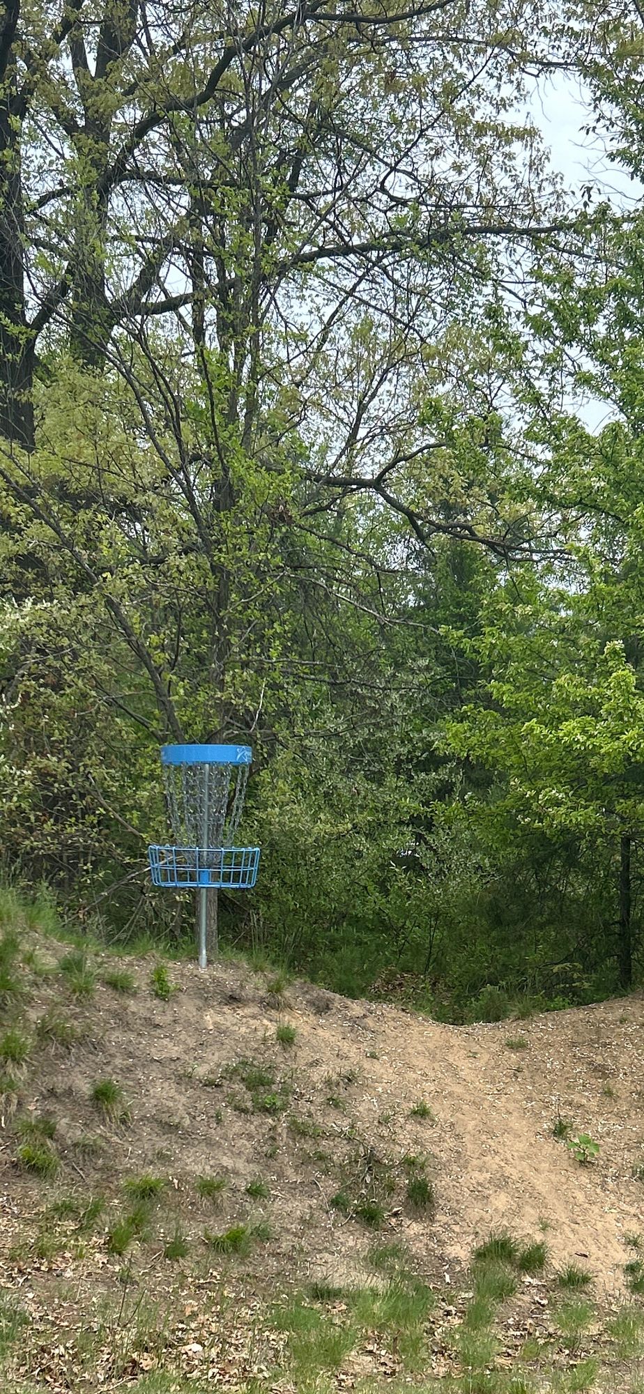 Hole #4