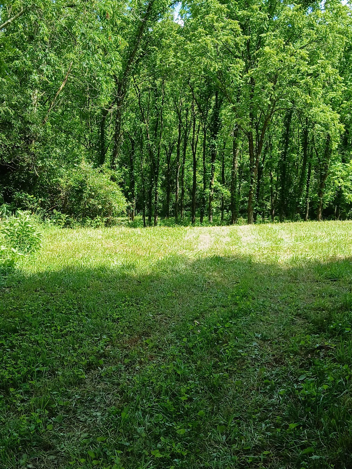 Hole 6 Tee
