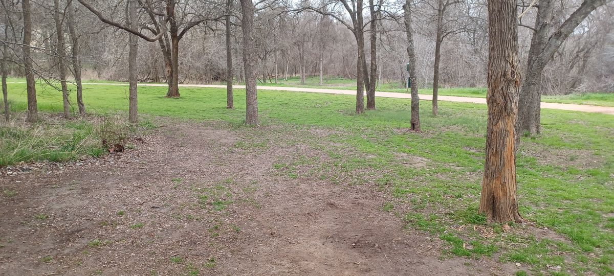 Hole 8