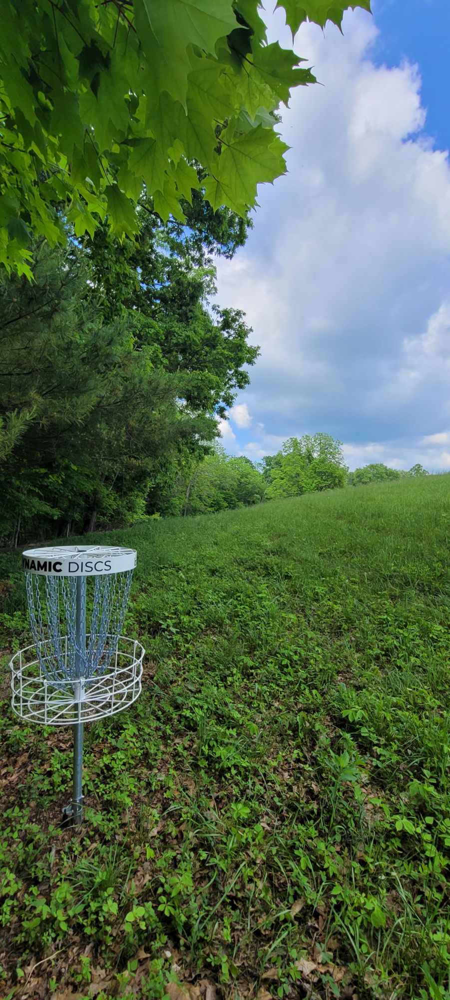 12 basket reverse down fairway