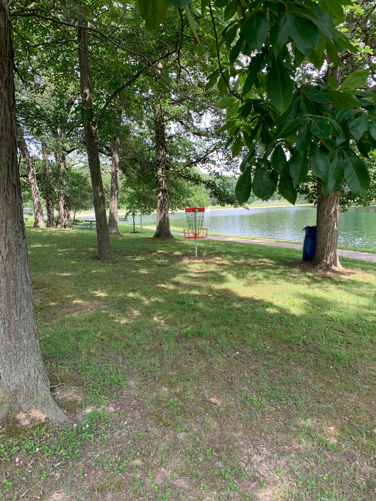 Hole 14 basket