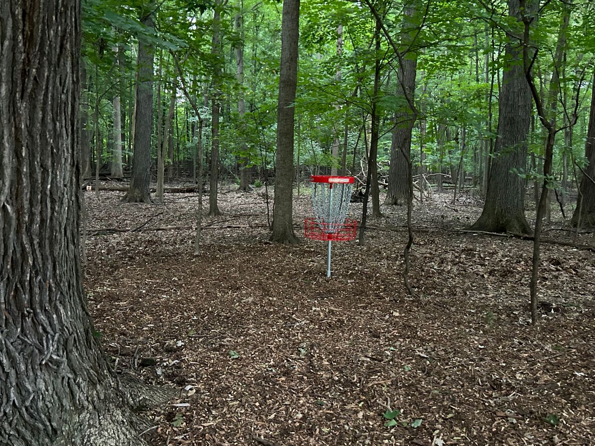 Hole 5 green