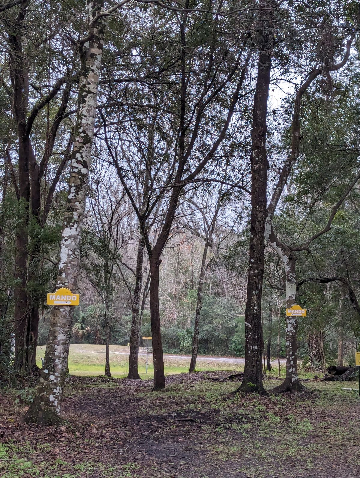 Hole 19- Double Mando