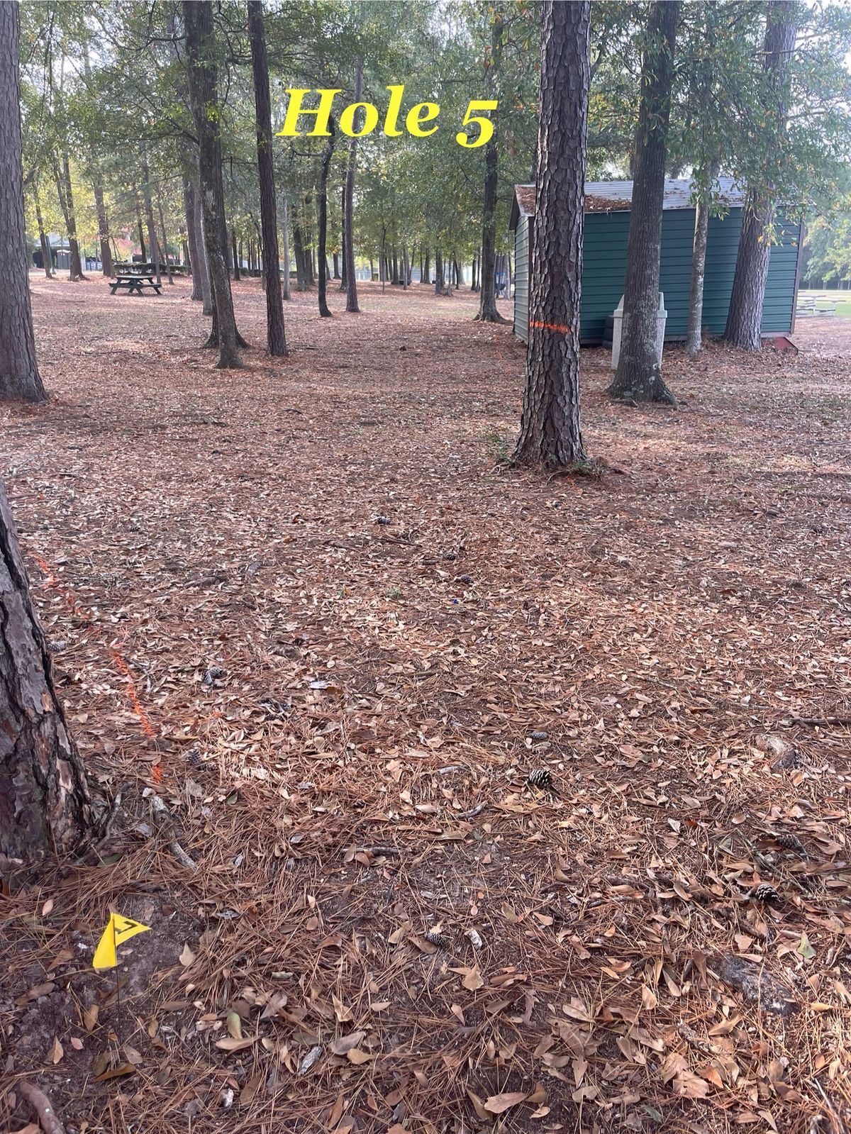 There is orange spray painted trees showing the line you must take.
Mandatory Mando!!