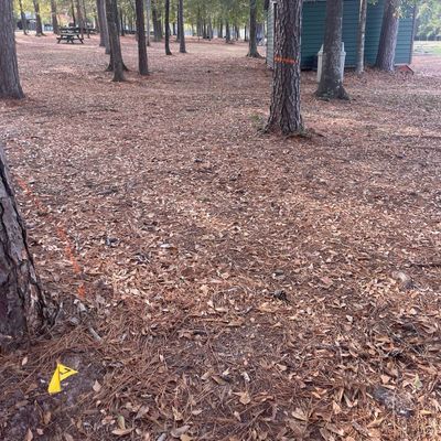 There is orange spray painted trees showing the line you must take.
Mandatory Mando!!