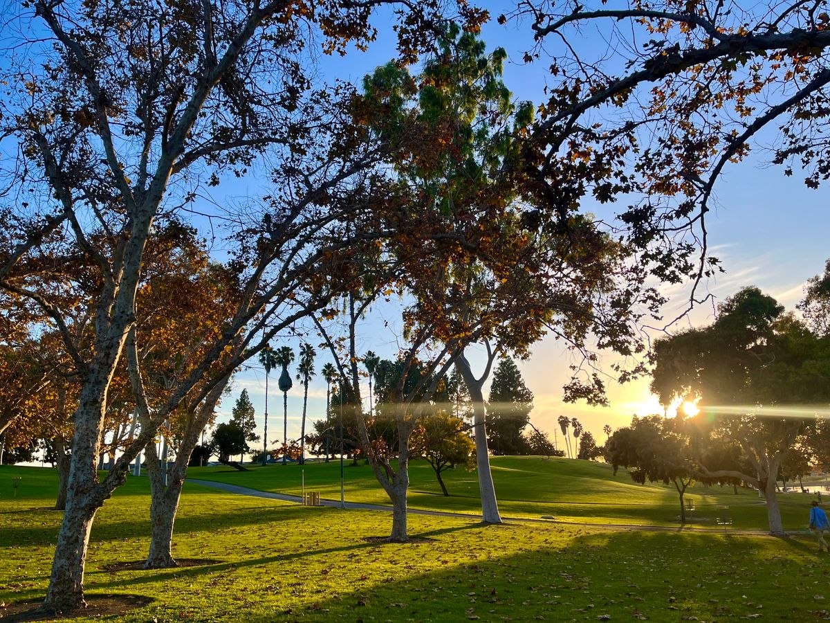 Hole 4